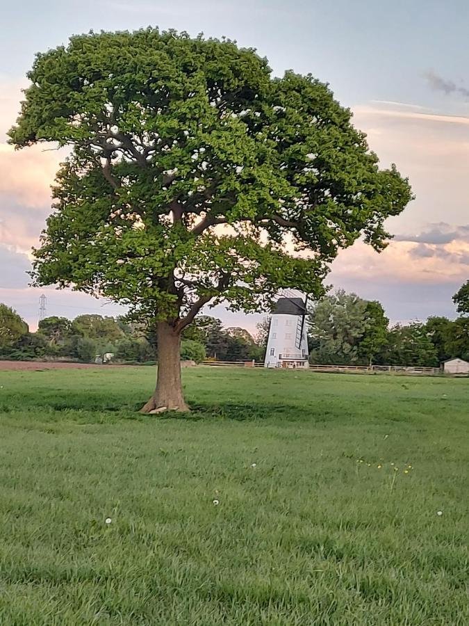 Saughall Mill Farm Cottage Chester Dış mekan fotoğraf