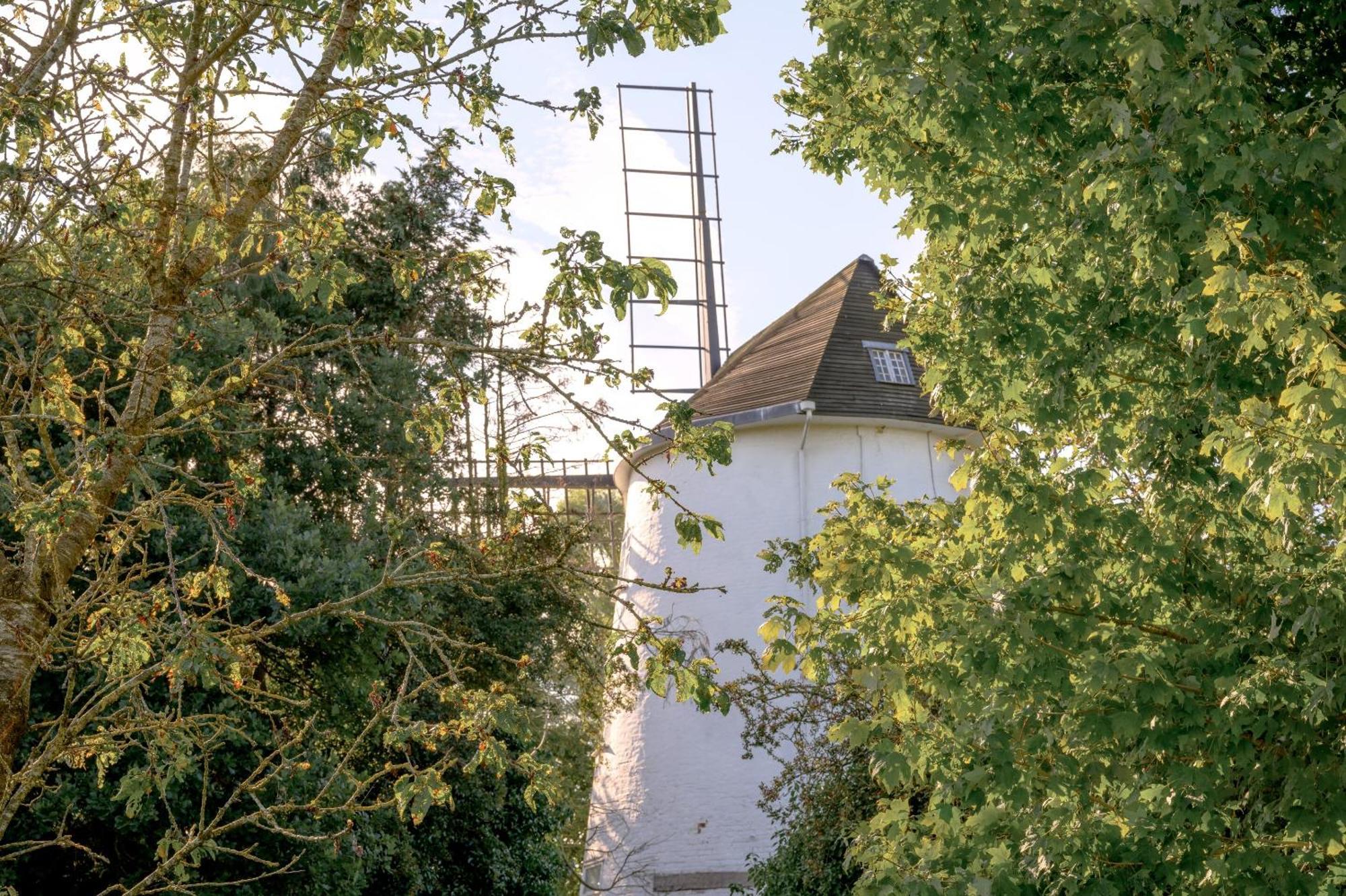 Saughall Mill Farm Cottage Chester Dış mekan fotoğraf